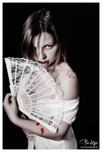 Book de porckipic