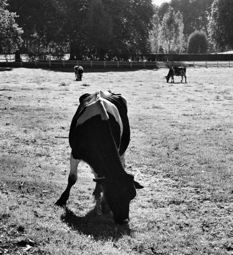 Book de arenzo-photographies