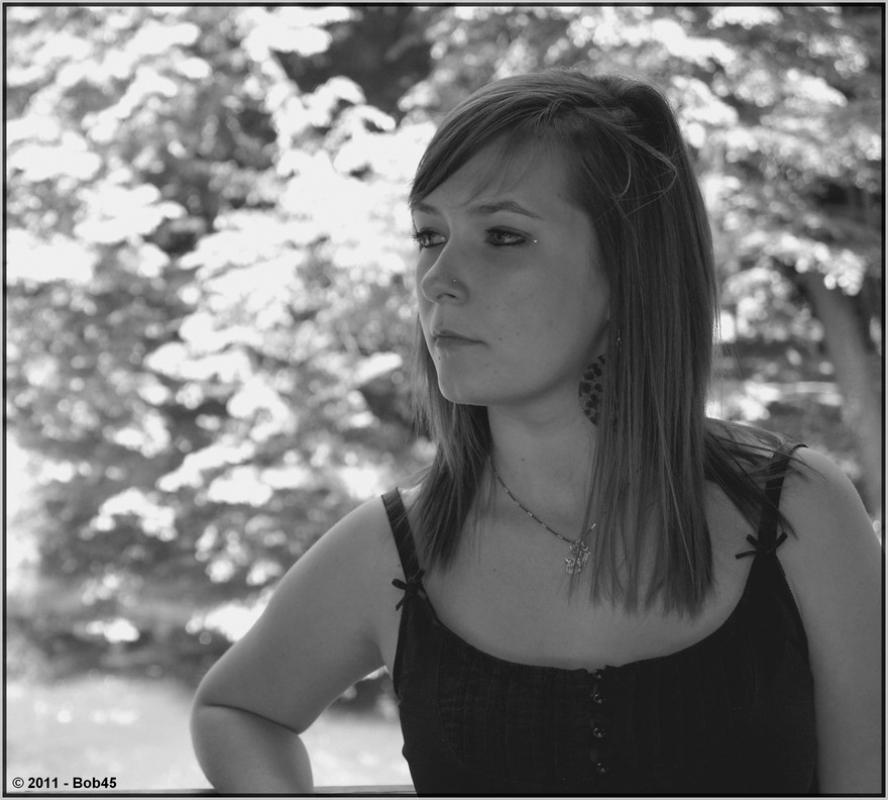 Book de coraliemodele