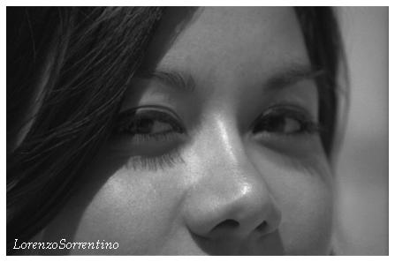 Book de slorenzo