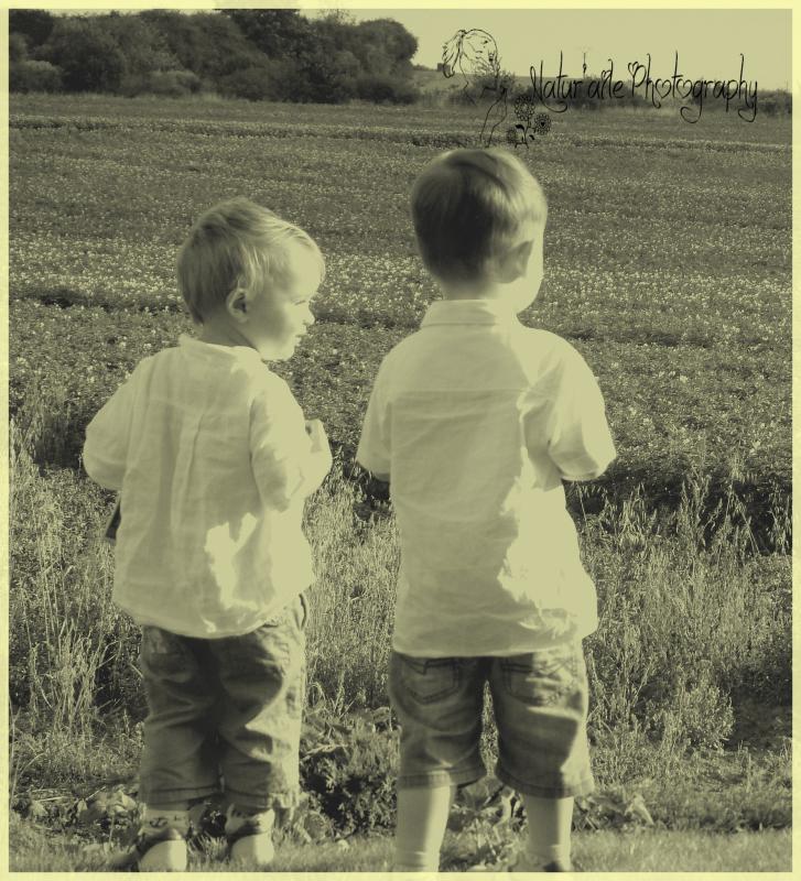 Book de natur-aile-photography59