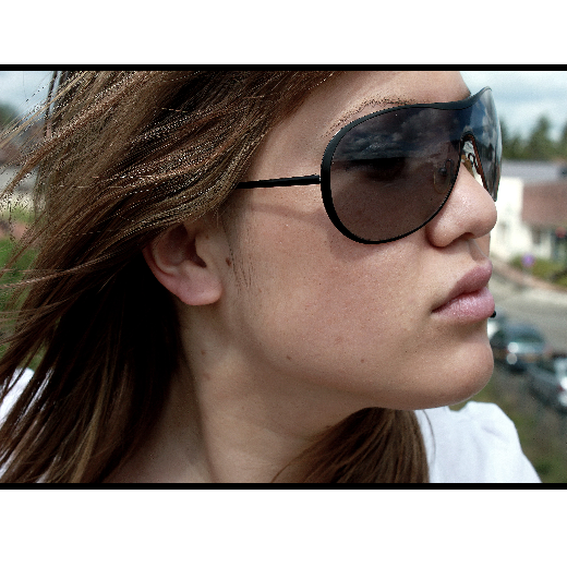 Book de leena