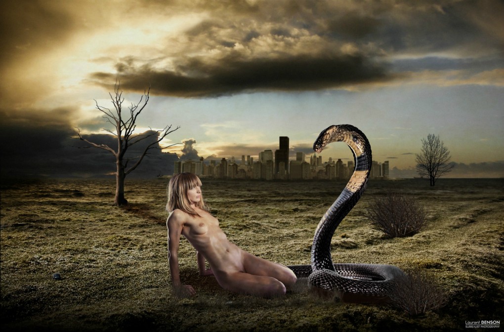 Book de lbenson