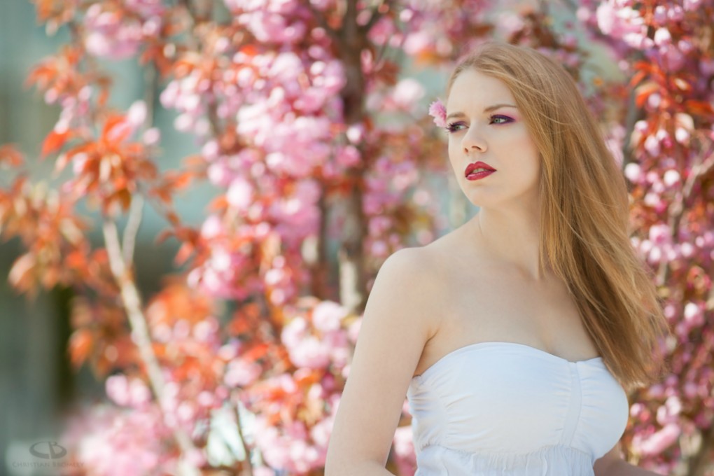 Book de imagin-creations