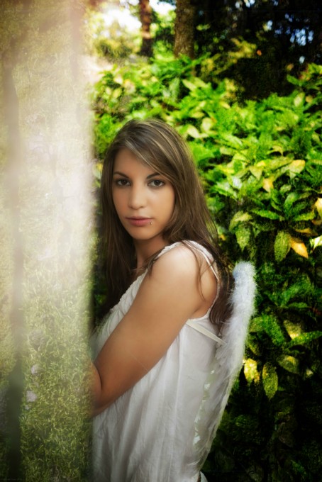 Book de minimoii77