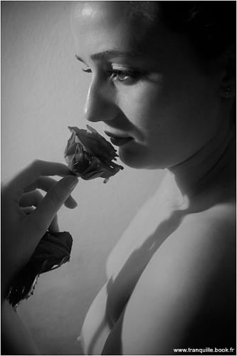 Book de tranquile