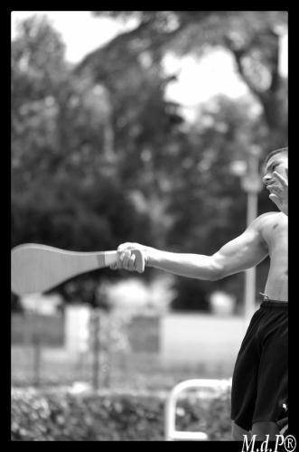 Book de mdp